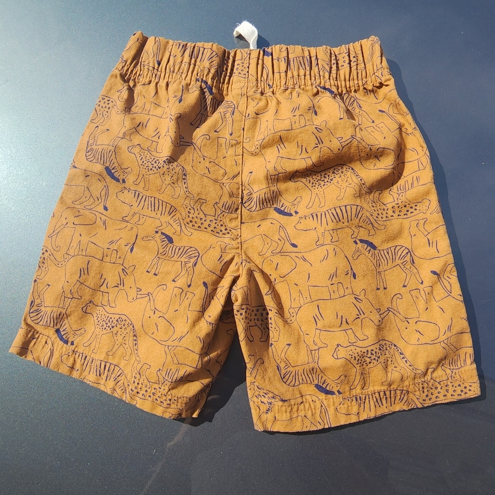 Toddler boys shorts
